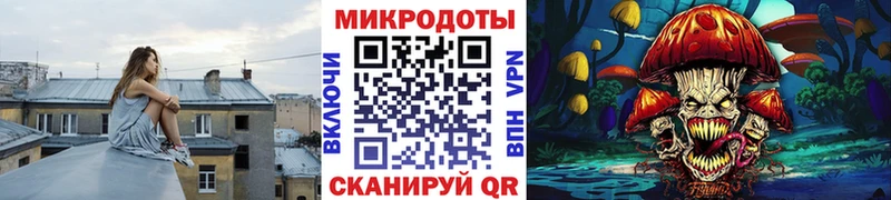 закладки  Нерюнгри  Псилоцибиновые грибы GOLDEN TEACHER 